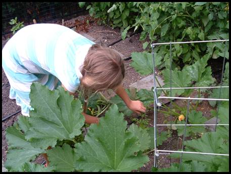 image003