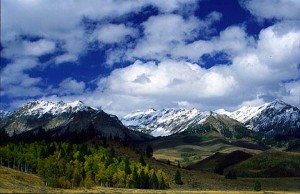 image003