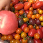 summer-fruit summer-fruit